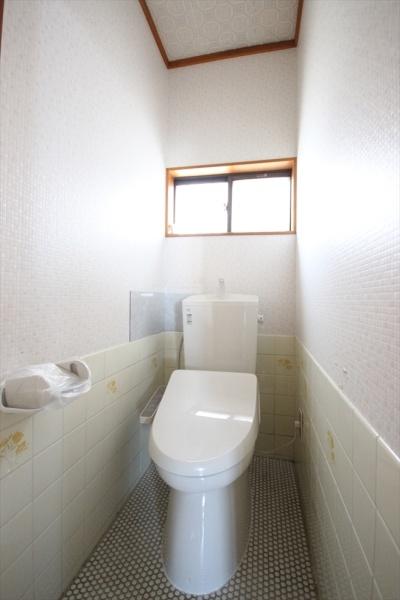 ��ʌ��z�J�s�厚�����̈�ˌ��Ẵg�C��