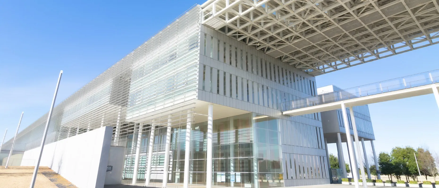 ��ʌ�����w