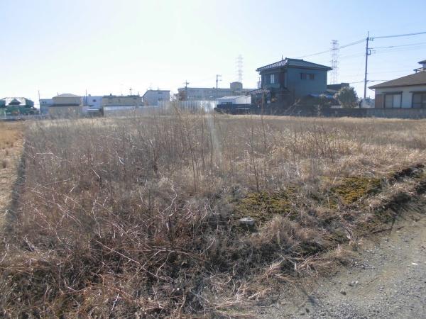 ��ʌ��O���s���c�̓y�n�̂��̑�