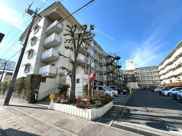 ��ʌ��t�����s��}�̒��Ã}���V�����̂��̑����n