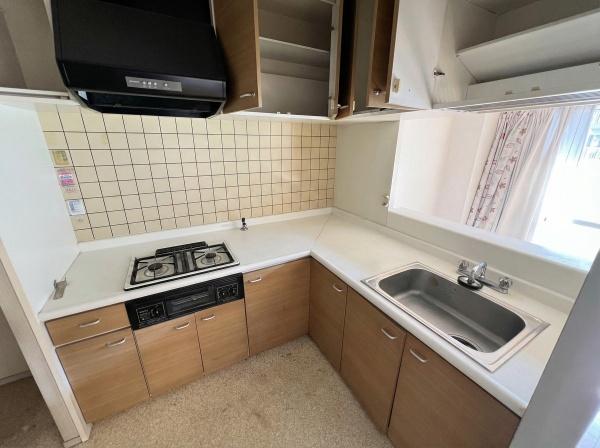 ��ʌ��t�����s��}�̒��Ã}���V�����̃L�b�`��