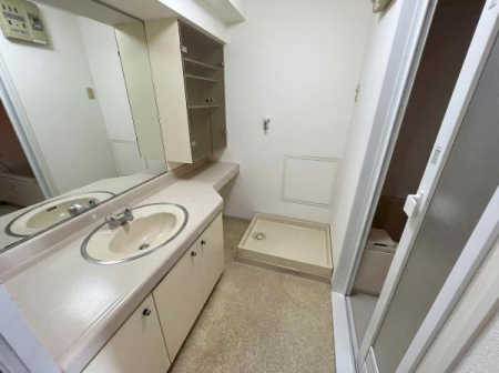 ��ʌ��t�����s��}�̒��Ã}���V�����̐��ʑ�E���ʏ�