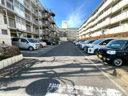 ��ʌ��t�����s��}�̒��Ã}���V�����̉摜