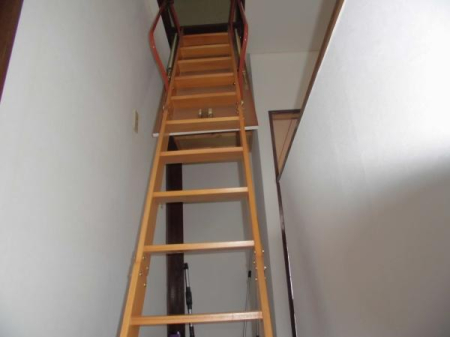 ��ʌ��t�����s���̒��È�ˌ��Ă̂��̑�