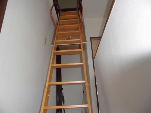 ��ʌ��t�����s���̒��È�ˌ��Ă̂��̑�