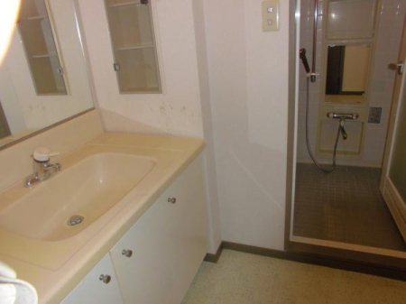 ��ʌ��t�����s���㓌6���ڂ̒��Ã}���V�����̂��̑�