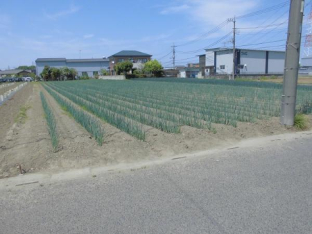 ��ʌ��������܎s��΋����̓y�n�̌��n�y�n�ʐ^