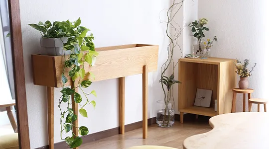 ؐ̃i`ȉƋƊϗtȀꂽ