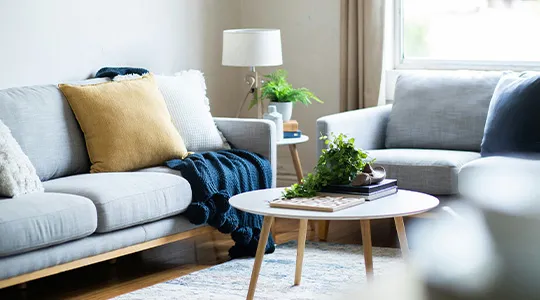 _CjOe[uɂARɐFMŊG`eq