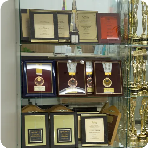 X܂̃bNɏꂽZ`I܂̃gtB[⃁_